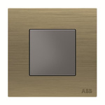 ABB Gold Blanking Plate