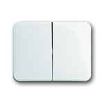 ABB White 2 Gang Light Switch Cover