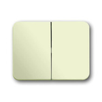 ABB White 2 Gang Light Switch Cover