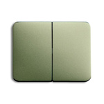 ABB Grey 2 Gang Light Switch Cover