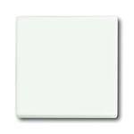 ABB White 1 Gang Light Switch Cover