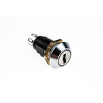 Key Switch, DP-CO, 1 A @ 24V ac dc / 115V ac 2-Way Common-Key
