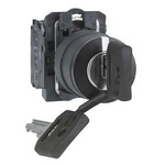 Key Switch, 2NO 3-Way