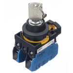 IP66 Key Switch, DPST 2-Way