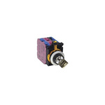 IP65 Key Switch, DPST 3-Way
