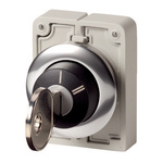 IP66 Keylock Switch 2-Way Common-Key