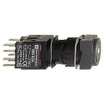 IP66 Key Switch, 1NO+1NC 2-Way