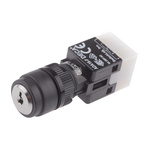 IP65 Key Switch, DPDT 3-Way