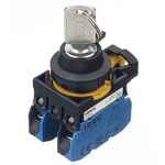 IP66 Key Switch, 2NO 2-Way