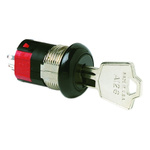 Key Switch, DPST, 4 A 2-Way Flat-Key