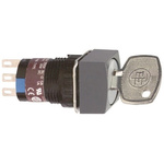 Schneider Electric Selector Switch - 2 Positions