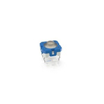Blue Momentary Tactile Switch, 1NO 100mA Through Hole