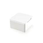 RAFI MICON 5 Series Plunger for Use with MICON 5 Tactile Switch