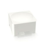RAFI RACON Series Plunger for Use with Tactile Switch
