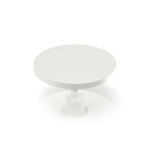 RAFI RACON Series Plunger for Use with RACON Tactile Switch