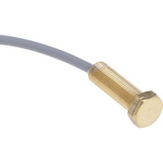 RS PRO Cylindrical Reed Switch, NO, 200V, 500mA