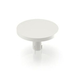 RAFI MICON 5 Series Plunger for Use with Tactile Switches