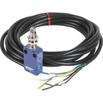 Telemecanique Sensors Roller Limit Switch, 1NC/1NO, IP66, IP67, Plastic Housing, 6A Max