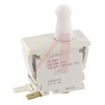 ZF Door Micro Switch, Plunger, SPDT 10 A Thermoplastic Polyester, -40 → +85°C