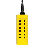 Push Button Pendant Station
