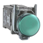 Schneider Electric, Harmony XB4 Green Universal LED Pilot Light Complete, 22mm Cutout, Round, 400V