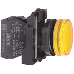Schneider Electric, Harmony XB5, Panel Mount Orange Pilot Light, 22mm Cutout, IP66, IP67, 250V