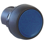 Allen Bradley 800F Series Blue Momentary Push Button Head, 22mm Cutout, IP65