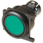 EAO Green Momentary Push Button Head, IP65