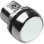Allen Bradley 800F Series White Momentary Push Button Head, 22mm Cutout, IP65