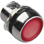 Allen Bradley 800F Series Red Illuminated Momentary Push Button Head, 22mm Cutout, IP65