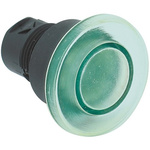 Allen Bradley 800F Series Green Illuminated Momentary Push Button Head, 22mm Cutout, IP65