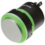 EAO Silver Illuminated Momentary Push Button Head, 22.5mm Cutout, IP67