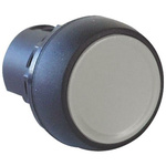 Allen Bradley 800F Series White Momentary Push Button Head, 22mm Cutout, IP65
