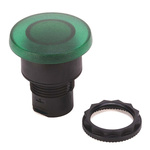 Allen Bradley 800F Series Green Illuminated Momentary Push Button Head, 22mm Cutout, IP65