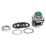 Allen Bradley 800T Series White Momentary Push Button Head, 30mm Cutout, IP65