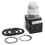 Allen Bradley 800T Series White Momentary Push Button Head, 30mm Cutout