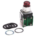 Allen Bradley 800T Series Red Illuminated Momentary Push Button Head, 30mm Cutout, IP67, IP69K