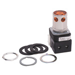 Allen Bradley 800T Series Amber Illuminated Momentary Push Button Head, 30mm Cutout, IP67, IP69K
