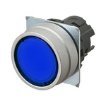 Omron A22NZ Series Blue Momentary Push Button Head, 22mm Cutout