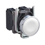 Schneider Electric Harmony XB5 Series White Illuminated Push Button Head, 22mm Cutout