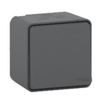 Schneider Electric Light Switch Surface Mount