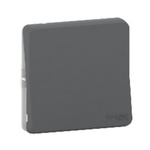 Schneider Electric Light Switch Surface Mount