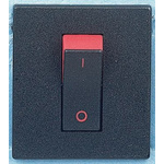 Carlingswitch Rocker Switch