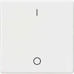 Siemens Rocker Switch