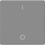 Siemens Rocker Switch