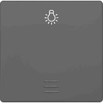 Siemens Rocker Switch