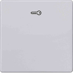 Siemens Rocker Switch