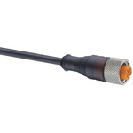 18170 RKT 4-3-224/2 M | Lumberg Automation Female M12 to Free End Sensor Actuator Cable, 3 Core, 2m