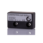 Bernstein AG Standard Actuator (Magnet) for Use with Magnetic Switches