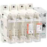 Schneider Electric Fuse Switch Disconnector, 4 Pole, 250A Max Current, 250A Fuse Current